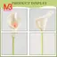 Calla Lily 10 đầu Latex Real Touch KC51 Trắng