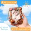 Mười bảy Hàng Mới Về Bộ Sưu Tập Photocard Đơn / Nhiều Người Chơi Ngoại Vi Hỗ Trợ Quà Tặng Tặng Tặng Thú Vị Thẻ Đẩy Bộ Sưu Tập Sách 6.30