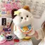 Đồ chơi nhồi bông YOLOGO, Quà tặng sinh nhật Calico Cat Đồ chơi nhồi bông, Búp bê nhồi bông mềm mại làm dịu giấc ngủ sang trọng Trang trí nội thất
