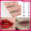JASMINE Stier Giả Bụng Lông Mày Môi Xuyên Stud Không Piercied Bông Tai Bộ Giả Mũi Nhẫn Xuyên Trang Sức Da Neo Top JASMINE