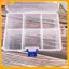 VFZ Có Thể Tháo Rời 6 Lưới Clearpartment Nhựa Hộp Bảo Quản Trang Sức Bông Tai Hạt Vít Giá Đỡ Hộp Đựng Màn Hình Người Tổ Chức Hộp Đựng Louislifecool