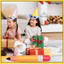 Trang trí lớp học Back to School Bơm hơi 7 chiếc khxinggao
