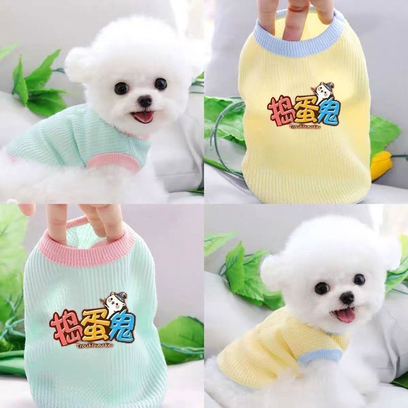 Thú Cưng Chó Mèo Mùa Xuân Mùa Hè Quần Áo Dạo Phố Thú Cưng Hoạt Hình Nhỏ Vừa Quần Áo Cho Chó Mỏng Phong Cách Corgi Teddy Pháp Chiến Đấu
