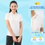 Áo thun polo nữ Yody phông thun cộc tay chất liệu cotton pique mắt chim mềm mại APN3340