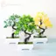 GE Cây Nhân Tạo Trang Trí Chậu Cây Cảnh Cây Nhỏ Chậu Cây Giả Chậu Thiền Vườn Đồ Trang Trí Bàn Trang Trí Phòng Nhà VN