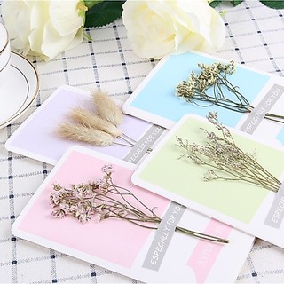 Thiệp đẹp chúc mừng sinh nhật thiệp hoa khô
