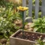 {WELV}Garden Stake Solar Powered Butterfly and Bird Decor 40cm Waterproof ABS Material