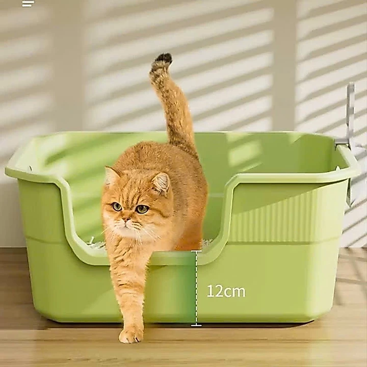 Cat Pets Khay – 5