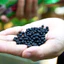 Phân Bón Hữu Cơ Đạm Cá Hồi Humic Túi 1kg - Bung Chồi, Bóng Lá, Phục Hồi Cây