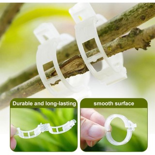 Kẹp cây nhựa an toàn nâng cấp 2026 Kẹp hỗ trợ cây mùa hè Kẹp cố định cây leo trong vườn Kẹp hỗ trợ cây trồng Kẹp vườn có thể tái sử dụng 50 chiếc Kẹp cà chua 100 chiếc 200 chiếc dễ sử dụng