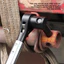 Cờ lê căng hàng hóa Ratchet nhỏ gọn & di động để lưu trữ hộp công cụ dễ dàng. Thiết bị trang trại Hauling