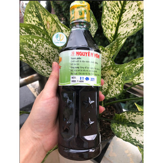 Hắc Xì Dầu Nguyên Hòa 500ml - Nước Tương Đen Sánh Đặc, Lên Màu Đẹp, Chuẩn Vị Hoa Làm Bột Chiên, Hủ Tiếu Khô