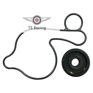 Bộ sim phốt bơm nước raider fi - satria fi