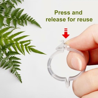 Kẹp cây nhựa an toàn nâng cấp 2026 Kẹp hỗ trợ cây mùa hè Kẹp cố định cây leo trong vườn Kẹp hỗ trợ cây trồng Kẹp vườn có thể tái sử dụng 50 chiếc Kẹp cà chua 100 chiếc 200 chiếc dễ sử dụng