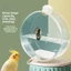 Máy cấp nước DWEL Birds, Bình nước chim dung tích lớn 350ml, Bình nước vẹt chống rò rỉ trong suốt có thể treo cho lồng chim