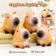 Hoạt Hình Dễ Thương Capybara Bóp Đồ Chơi Giảm Căng Thẳng Động Vật Ngộ nghĩnh Bóp Đồ Chơi Capybara Hình Pinch Đồ Chơi Thư Giãn Quà Tặng