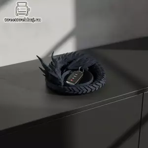 Nhíp Gothic 3D In Hình Rồng Khay Phong Cách Tối Nhựa Trang Sức Sắp Xếp Lưu Trữ Cho Trang Trí Nhà VN