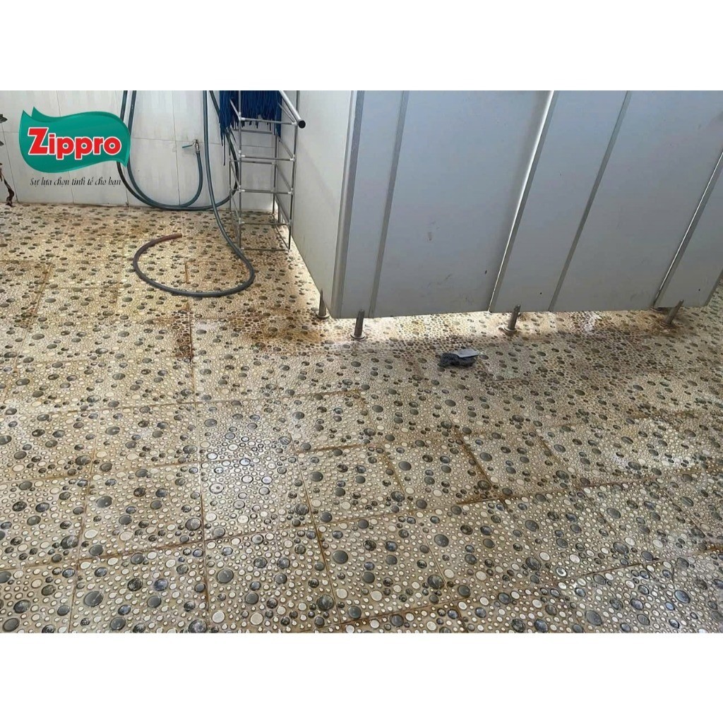 Nước Tẩy Ố Vàng Gạch ZIPPRO Cực Mạnh, Tẩy Rong Rêu, Cặn Bẩn, Gỉ Sét Sàn Gạch Nhà Tắm | BigBuy360 - bigbuy360.vn