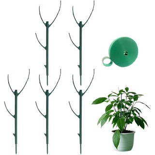 5 gói Cọc hỗ trợ cây Monstera có thể xếp chồng lên nhau Cọc cây trong vườn cho cây trồng nhà và ngoài trời Giá đỡ cột rêu Cấu trúc thân cây Monstera để leo cây trong chậu nhựa tái sử dụng