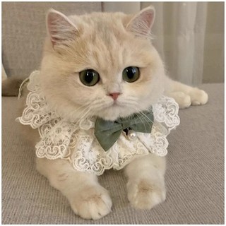 Khăn Cho Mèo Nơ Cổ Thú Cưng Yếm Nước Bọt Khăn Đồ Trang Trí