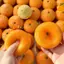 Mô Phỏng Tangerine Căng Thẳng Bóng DIY Handmade Mềm Bóp Squishy Đồ Chơi Không Độc Hại Cho Người Lớn Trẻ Em Nhà Trường Học Giảm Áp Lực
