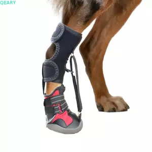 QEARY Corrective Dog Shoes, Nâng Ngón Chân Thoáng Khí Thả Chân Nẹp Cho Chó, Chống Bẩn Có Thể Điều Chỉnh Với Cuộn Dây Chống Mài Mòn Cho Chó Giày Đi Bộ