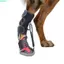 QEARY Corrective Dog Shoes, Nâng Ngón Chân Thoáng Khí Thả Chân Nẹp Cho Chó, Chống Bẩn Có Thể Điều Chỉnh Với Cuộn Dây Chống Mài Mòn Cho Chó Giày Đi Bộ