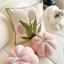 Gối tựa sofa hoa tulip bí ngô dễ thương có ruột trang trí phòng khách phòng ngủ văn phòng phong cách Bắc Âu mềm mại