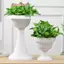 1 Bình nhựa gợn sóng nước lớn Sắp xếp chậu hoa Phong cách Bắc Âu hiện đại Nhà Phòng khách Trang trí máy tính để bàn Trang trí