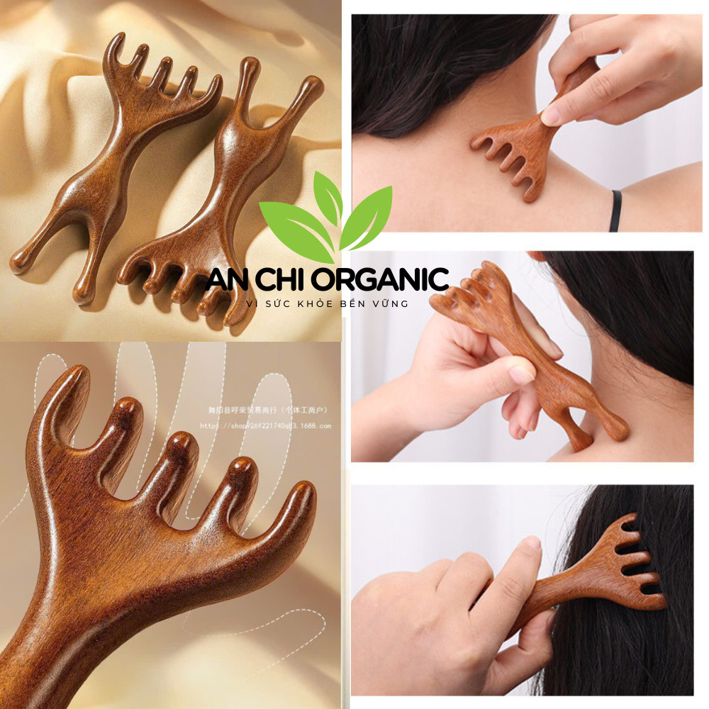 (TẶNG TÚI GẤM) Lược Gỗ Đàn Hương Massage Đầu Mặt Cổ Vai Gáy Thư Giản, Giảm Đau Mỏi Nhiều Hình Dạng An Chi Organic