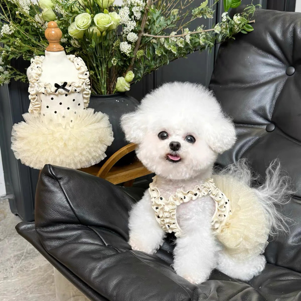 Đầm Sling Thú Cưng Thoáng Khí Mùa Hè Phong Cách Công Chúa Teddy Chó Mèo Chấm Bi Đầm Ren