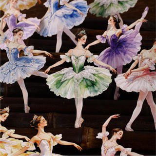 ENWEI 10 Chiếc [Loạt Truyện Ba Lê] Đào Hồng Dance Shadow Lime Grace Hình Tạp Chí Nhãn Dán Trang Trí Người Lập Kế Hoạch Văn Phòng Phẩm