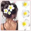 JRP Plumeria Hoa Kẹp Tóc Cho Nữ Cô Gái Kẹp Tóc Trứng Hoa Ngọt Bên Kẹp Tóc Barrettes Hawaii Đảng Phụ Kiện Tóc JRP