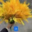 "Bộ sét bình lúa phong thủy hút lộc, mang may mắn cho gia chủ, trưng bày thần tài độc đáo."