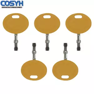 <cosyh>5Pcs Lawn Mower Ignition Key Compatible with Models L100 L105 L102 L110 and More