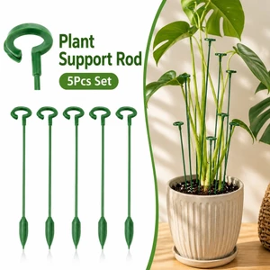 Hỗ trợ thực vật Cổ phần đa năng Chức năng Trang trí nội thất Tổ chức Essential Essential Essential