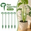 Hỗ trợ thực vật Cổ phần đa năng Chức năng Trang trí nội thất Tổ chức Essential Essential Essential