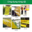 Bẫy Côn Trùng Màu Vàng 2 Mặt - Diệt Rầy, Rệp, Ruồi Đục Lá Hiệu Quả