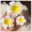JRP Plumeria Hoa Kẹp Tóc Cho Nữ Cô Gái Kẹp Tóc Trứng Hoa Ngọt Bên Kẹp Tóc Barrettes Hawaii Đảng Phụ Kiện Tóc JRP