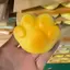 Squishy Bóp Đồ Chơi Đàn Áp 1 Cái Mềm Croissant Mèo Paw Chiên Bột Sti Đồ Chơi Tăng Chậm Cho Trẻ Em Người Lớn Quà Tặng Giải Trí