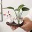 GE Thỏ Dễ Thương Thủy Canh Bình Thủy Tinh Trong Suốt Bình Thủy Tinh Để Bàn Trang Trí Bình Hoa Thủy Sinh Có Đế Gỗ VN
