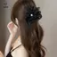 1 Kẹp Tóc Hoa Lưới Kim Cương Giả Cho Nữ Phong Cách Hàn Quốc Kẹp Cá Mập Phụ Kiện Bền Đẹp Cho Các Cuộc Họp Kinh Doanh [Mina]