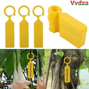 VVDZA 200 CÁI Nhãn thực vật, Thẻ thực vật nhẹ bằng nhựa, Bền có thể tái sử dụng Dễ dàng làm sạch Bề mặt mịn Thẻ mẫu giáo Sử dụng trong vườn và sân