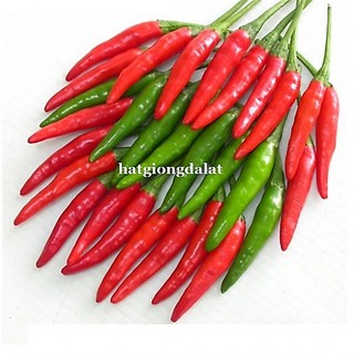 40 Hạt - Hạt Giống  Ớt  Hiểm F1 Phương Nam