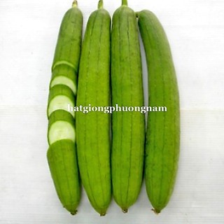 2 Gram - Hạt Giống Mướp Hương  Phương Nam