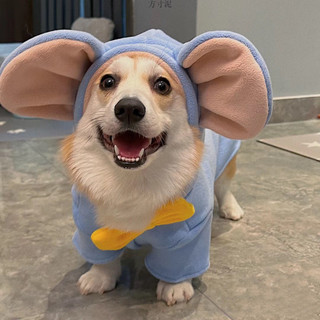 Corgi Quần Áo Thu Đông Dày Ấm Áp Vừa Chó Nhỏ Bichon Schnauzer Vest Shiba Inu Chó Mùa Đông Quần Áo WGPI