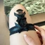 Đai đỡ chân đa năng có dây nơ và charm trái tim - Hỗ trợ co giãn cho chân