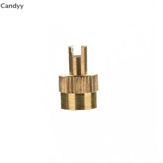 NDY 10 Chiếc Xe Chrome Kim Loại Có Rãnh Nắp Thân Van Có Dụng Cụ Tẩy N