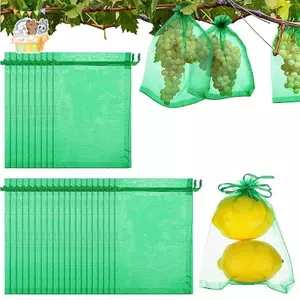 20 Chiếc Túi Đựng Trái Cây Lưới Dâu Nho Trái Cây Trồng Túi Lưới Thoáng Khí Túi Bảo Vệ Thực Vật Thực Vật Cho Dụng Cụ Làm Vườn ELWW