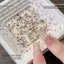 BeautifulHomeA 1440 Cái Đa Hình Dạng Hỗn Hợp Nhựa Kim Cương Giả Móng Tay Quyến Rũ Sáng Bóng Flat Ba Đá Quý DIY Móng Tay Nghệ Thuật Trang Trí VN